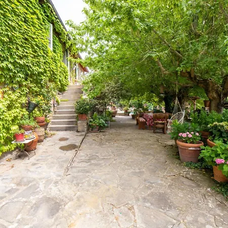 Il Cherubino By Interhome Holiday home Cortona